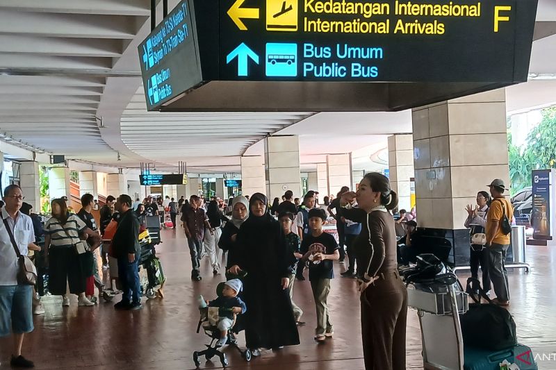 [original_title]